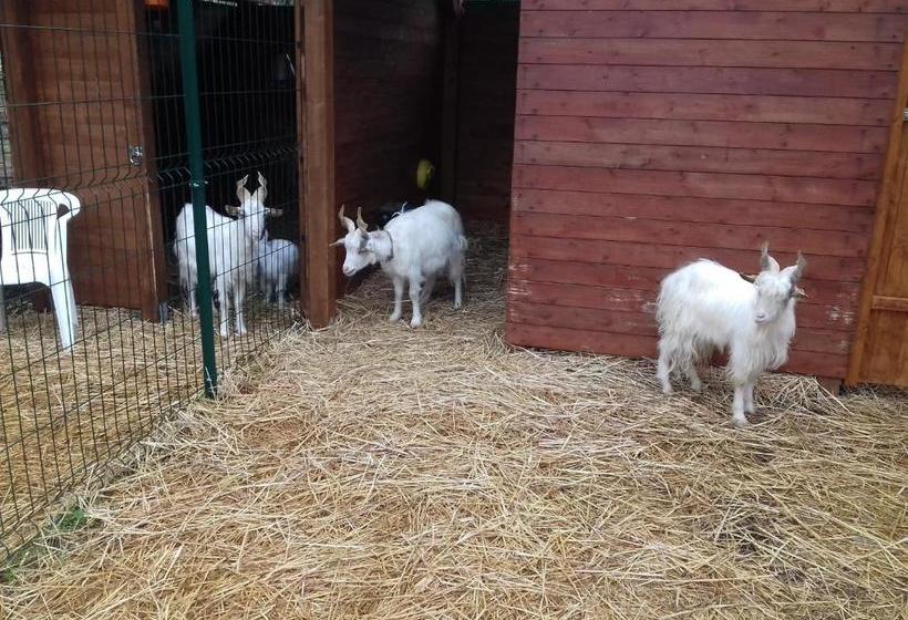 Отель Agriturismo Specchiarussa