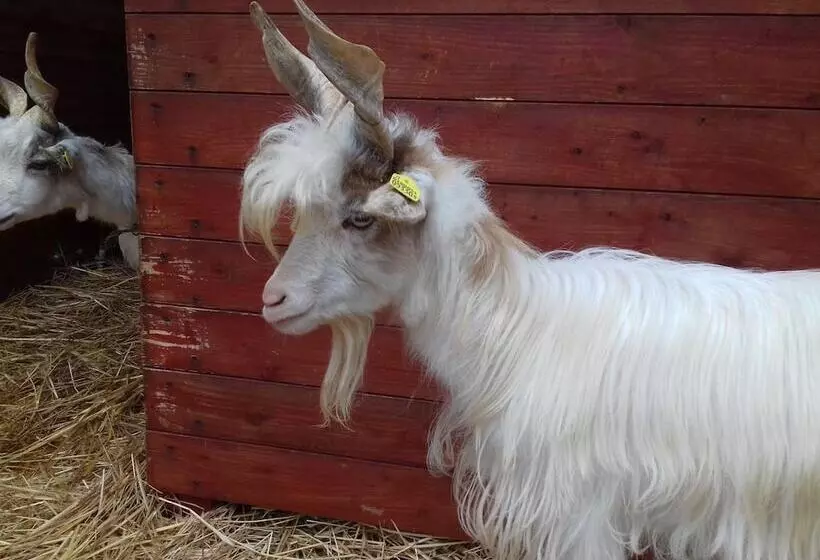 Hotelli Agriturismo Specchiarussa