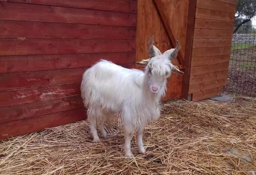 Hotelli Agriturismo Specchiarussa