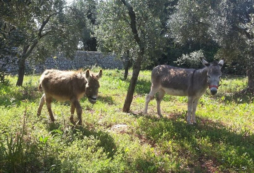 Отель Agriturismo Specchiarussa