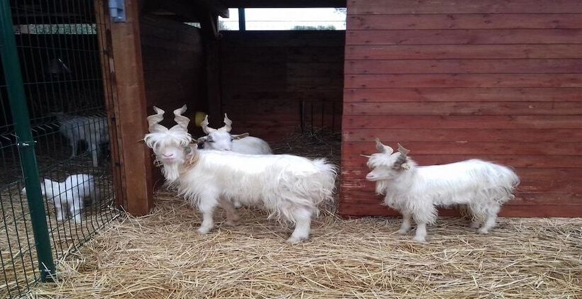 Отель Agriturismo Specchiarussa