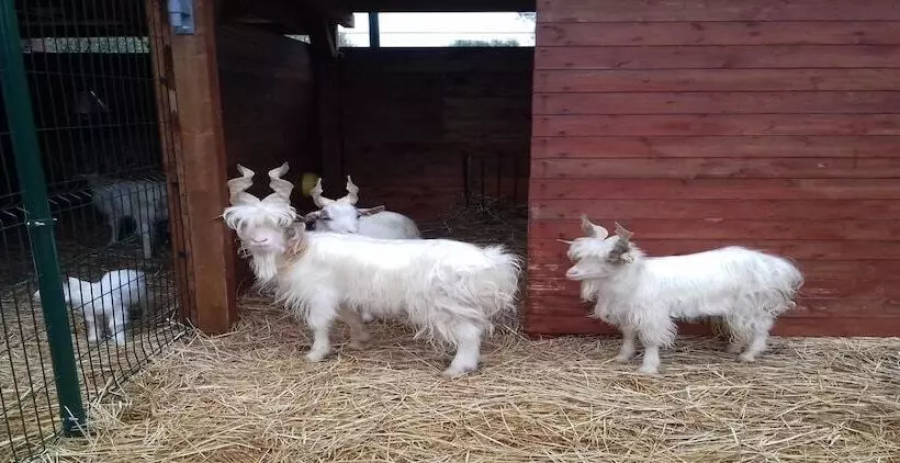 Hotelli Agriturismo Specchiarussa