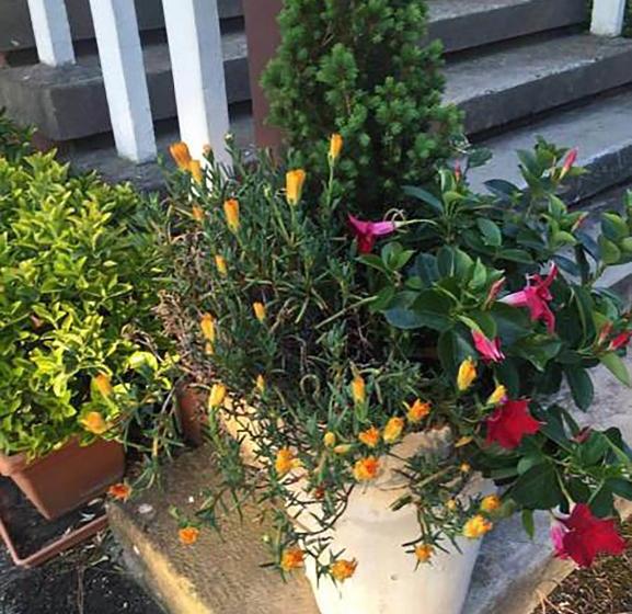 Отель Agriturismo Villa Dei Gelsi