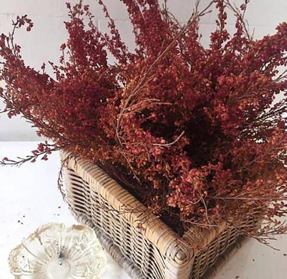 Отель Agriturismo Villa Dei Gelsi