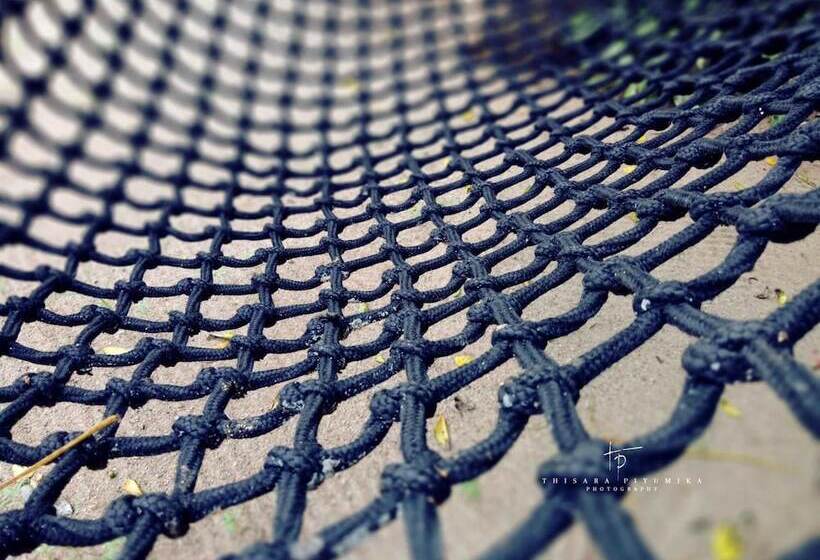 Pensione Takeshi Inn