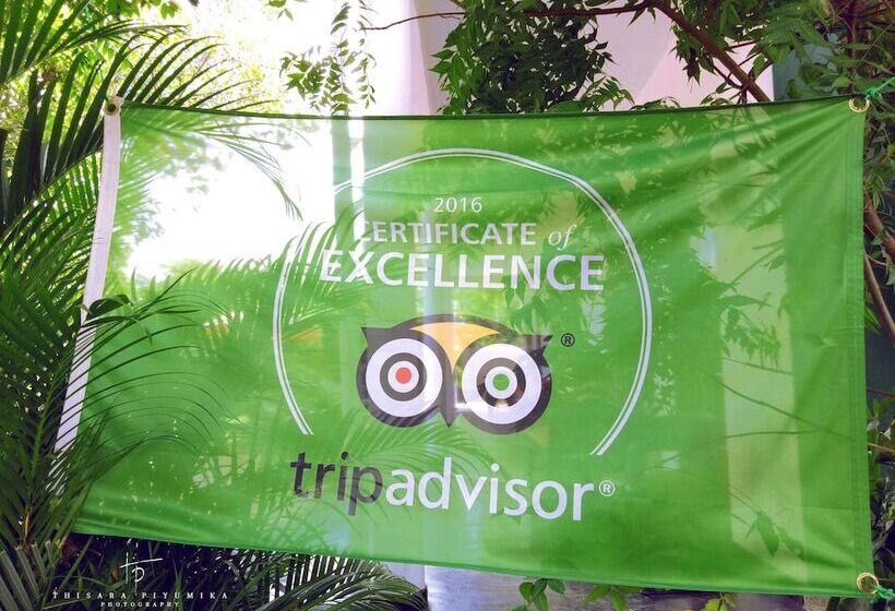 Pensione Takeshi Inn