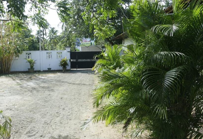 Pensione Takeshi Inn