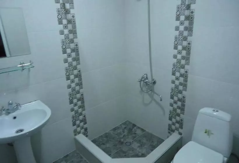پانسیون Villi's Guest House