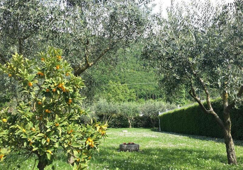 Residence Gonda&giuliano