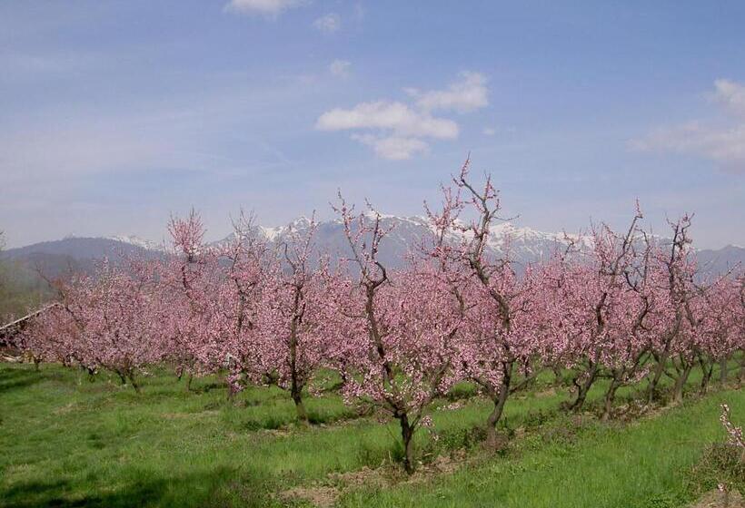 酒店 Agriturismo Il Frutto Permesso