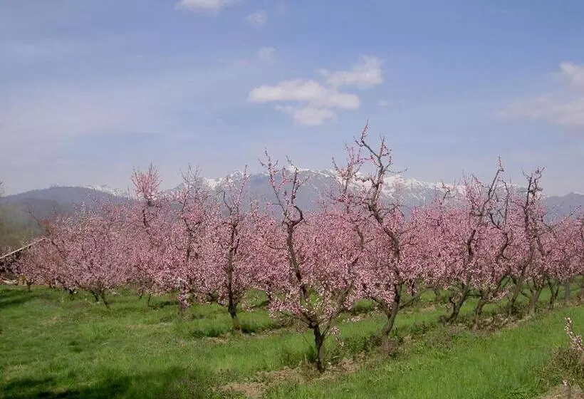ホテル Agriturismo Il Frutto Permesso