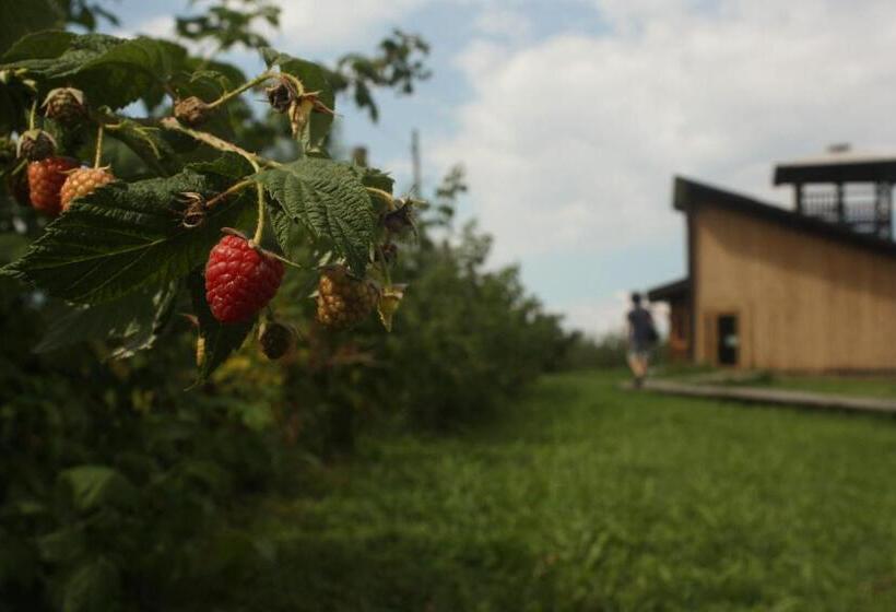 酒店 Agriturismo Il Frutto Permesso