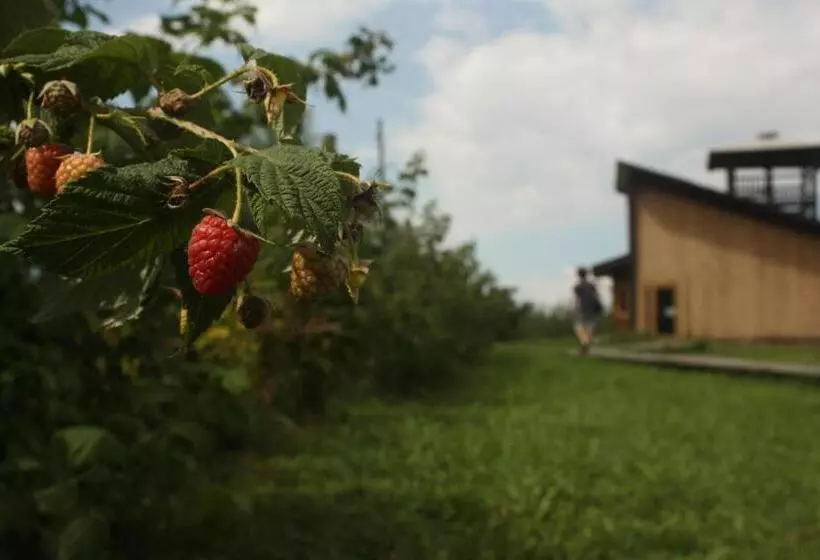 ホテル Agriturismo Il Frutto Permesso