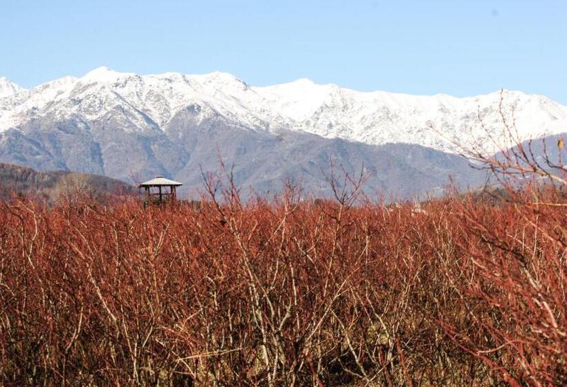 酒店 Agriturismo Il Frutto Permesso