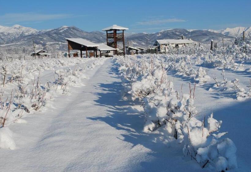酒店 Agriturismo Il Frutto Permesso