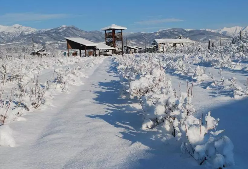 ホテル Agriturismo Il Frutto Permesso