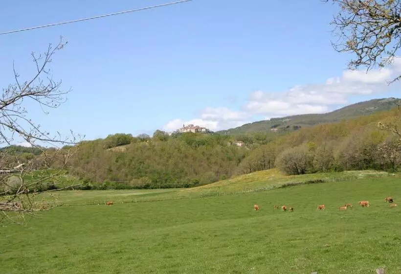ホテル Il Poggiolo