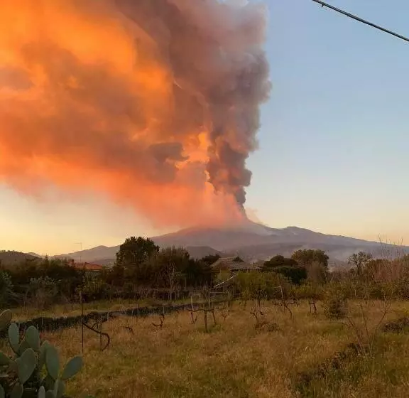 Majatalo Il Tanaceto