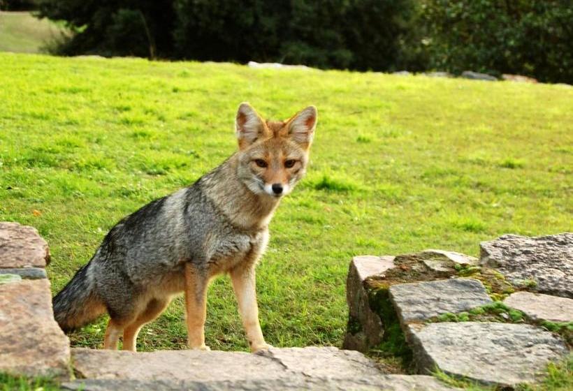 هاستل El Potrerillo De Larreta