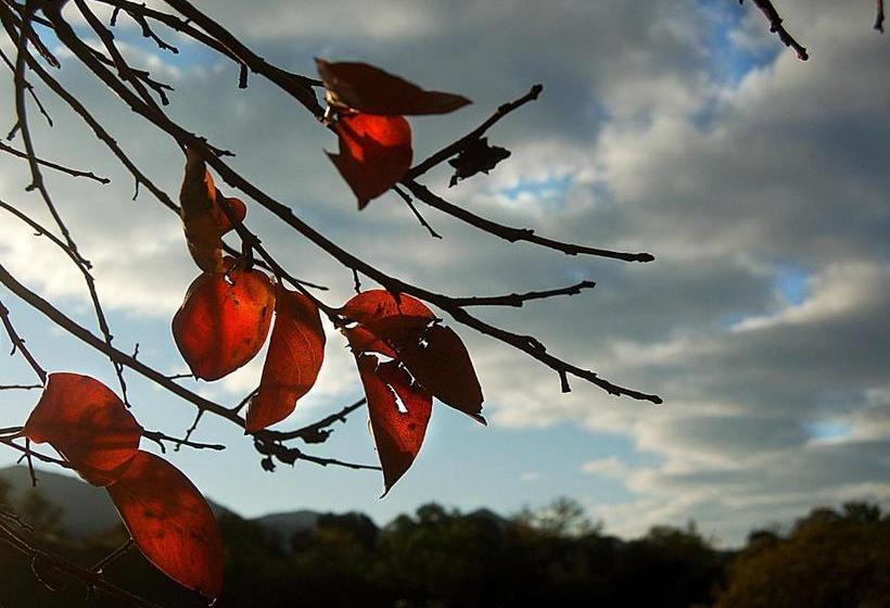 هاستل El Potrerillo De Larreta