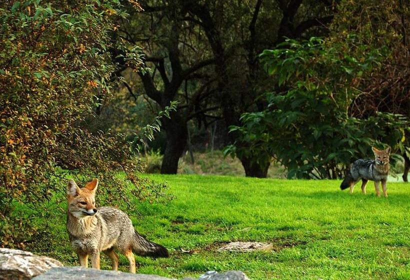 هاستل El Potrerillo De Larreta
