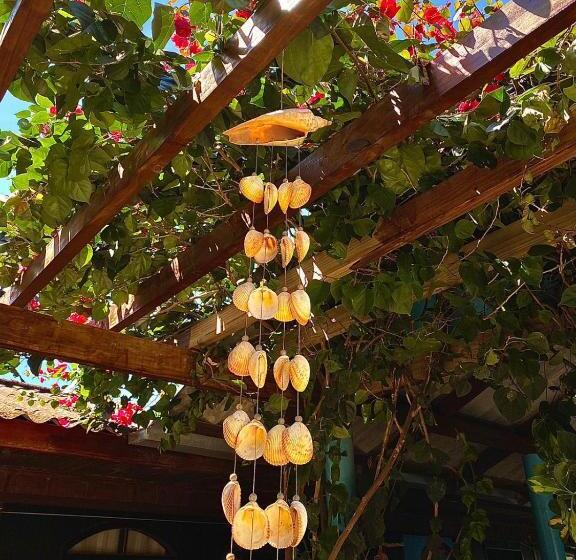 Pensão Pousada & Camping Tubarão