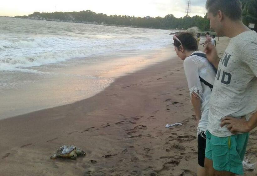 膳宿费 Sasagara Beach Villa