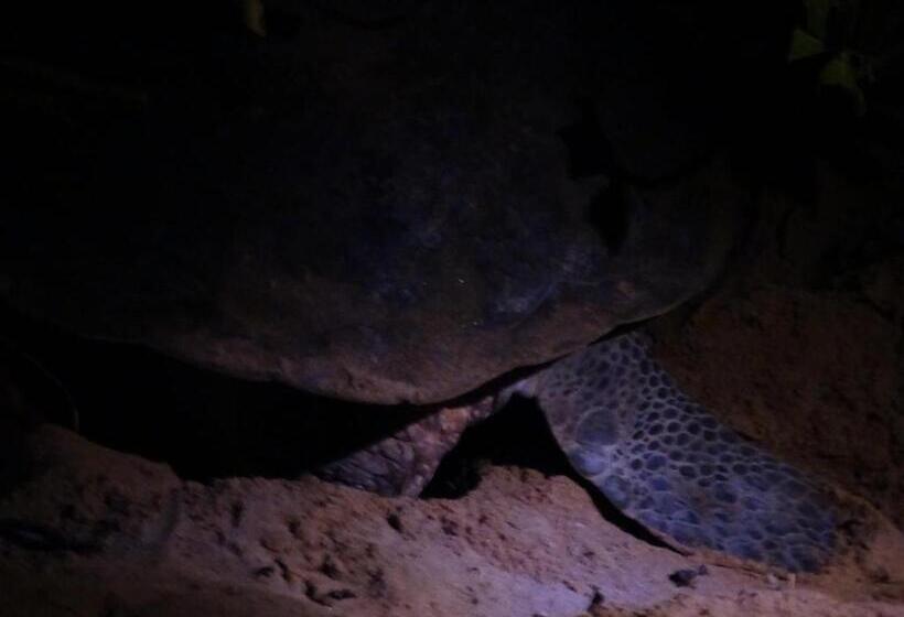 膳宿费 Sasagara Beach Villa