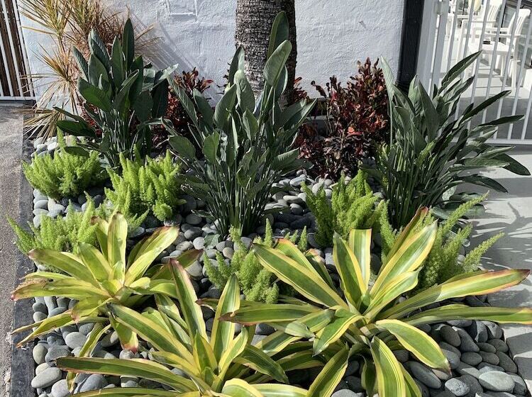 Ocean Villas Of Deerfield