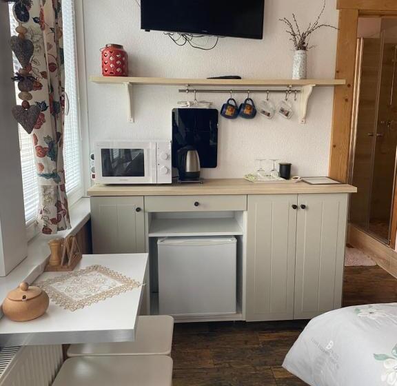 פנסיון Apartmany Moravienka