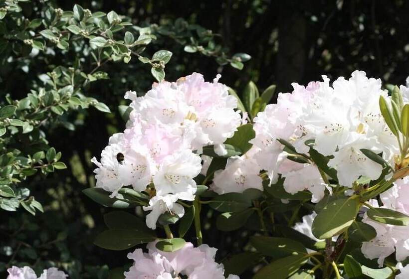 Пансион Calme Et Nature Bassin D Arcachon
