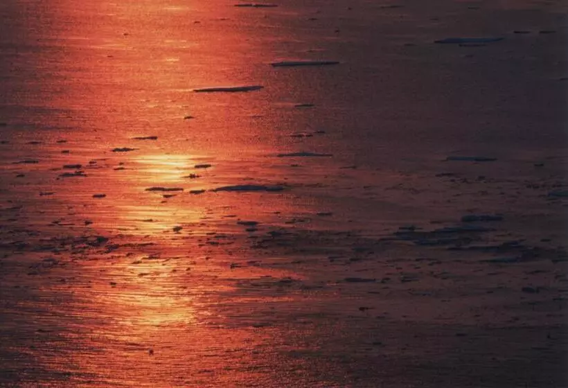 ペンション Bon's Home