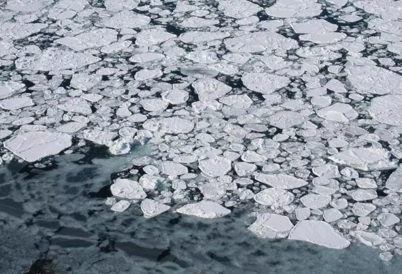 ペンション Bon's Home