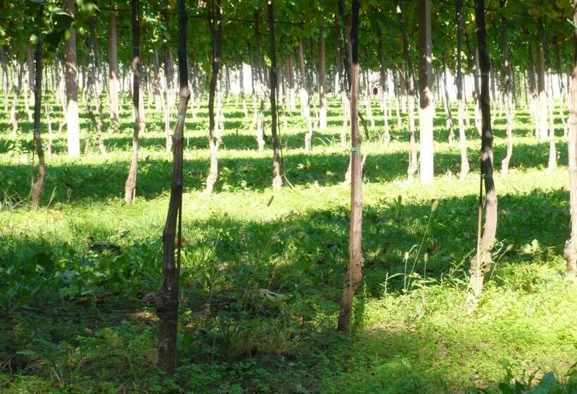 بنسيون Relais Villa Selle