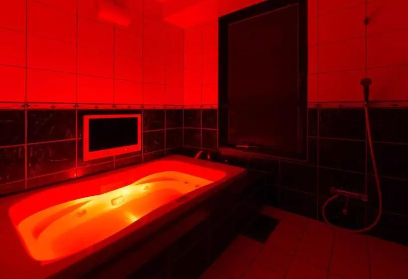 Hotelli Fine   Into The Premlum