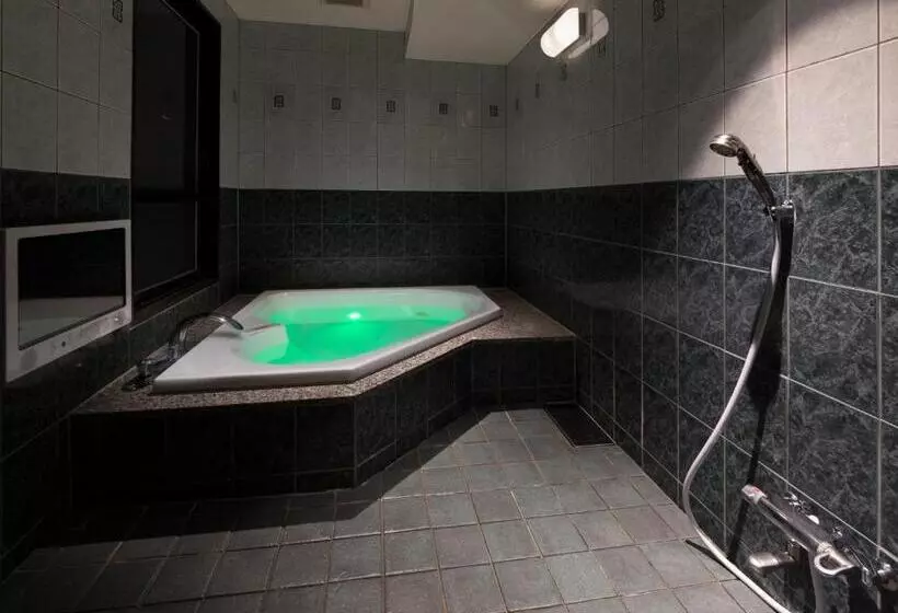 Hotelli Fine   Into The Premlum