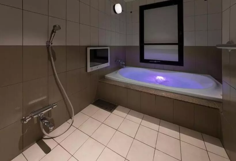 Hotelli Fine   Into The Premlum