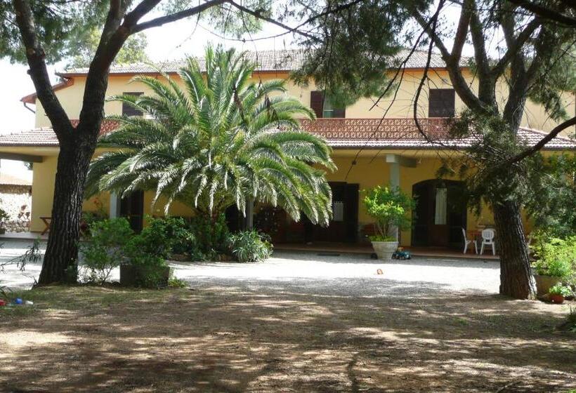 בית מלון כפרי Podere Oslavia Az.agr.bio Giannini