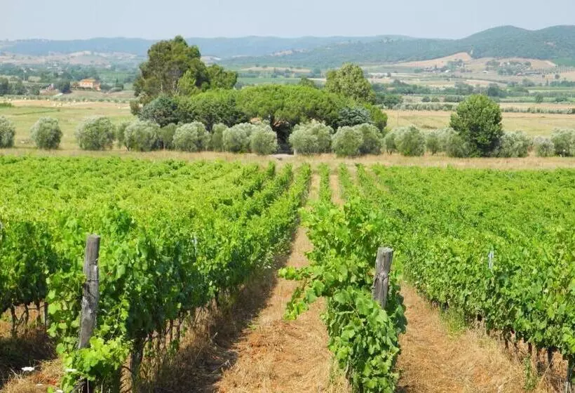 ホテル Podere Oslavia Az.agr.bio Giannini