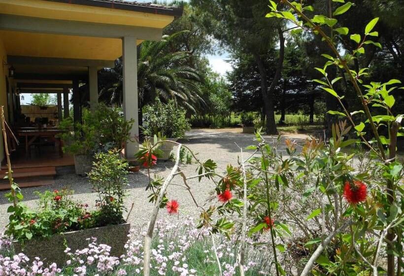 בית מלון כפרי Podere Oslavia Az.agr.bio Giannini