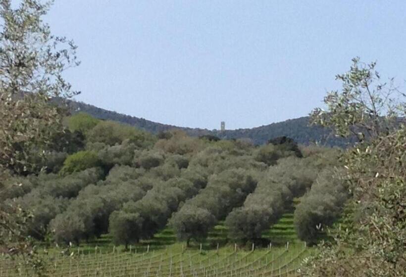בית מלון כפרי Podere Oslavia Az.agr.bio Giannini