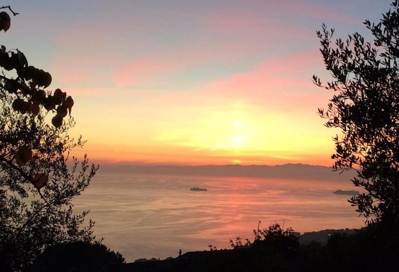 호텔 Agriturismo S.ilario