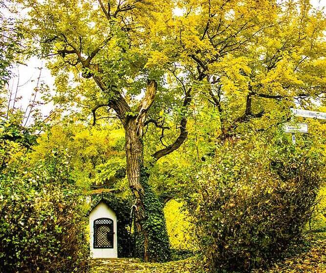 Pensão Brunnenhof Randersacker Das Kleine