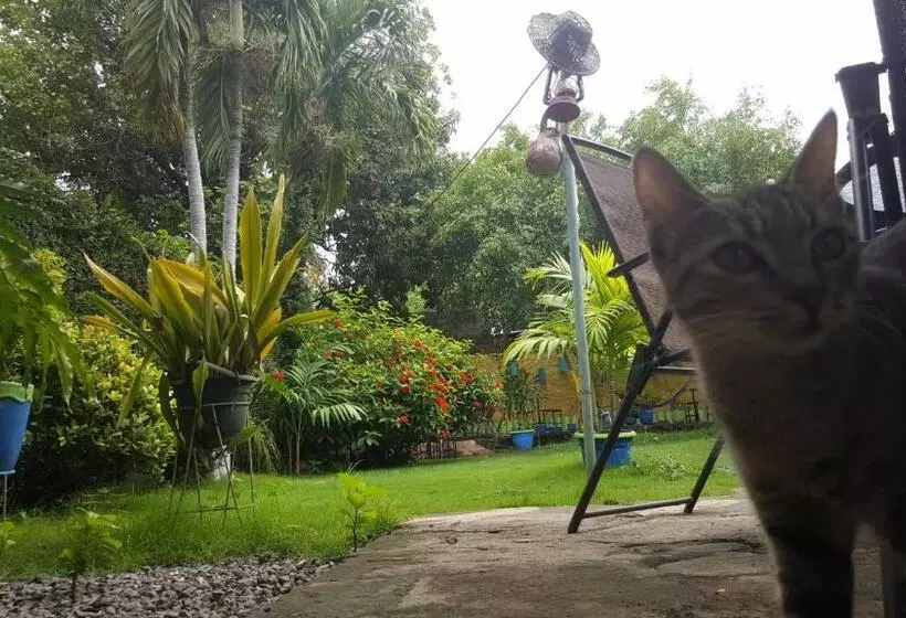 پانسیون Hostal El Jardin