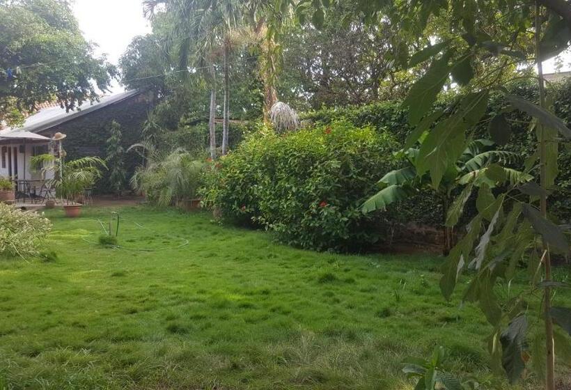 پانسیون Hostal El Jardin