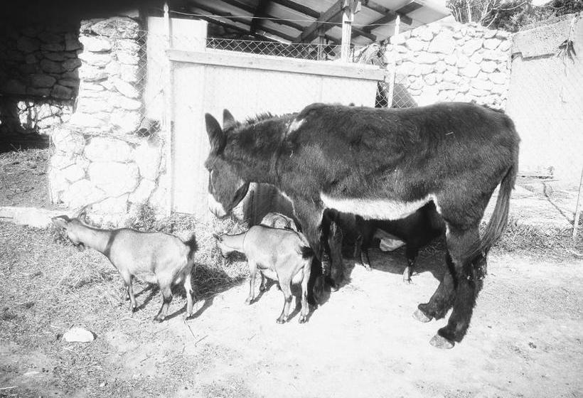 فندق صغير Roba Albanisi