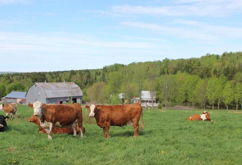 בית מלון כפרי Maison Du Vieux Chemin