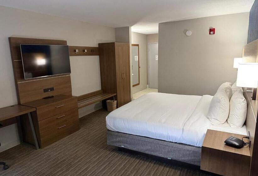 Hotel Comfort Inn & Suites Tyler   Lindale