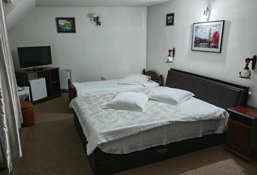 Pensiunea Millenium Sibiu With Parking Motorcycle Friendly Travel Routes