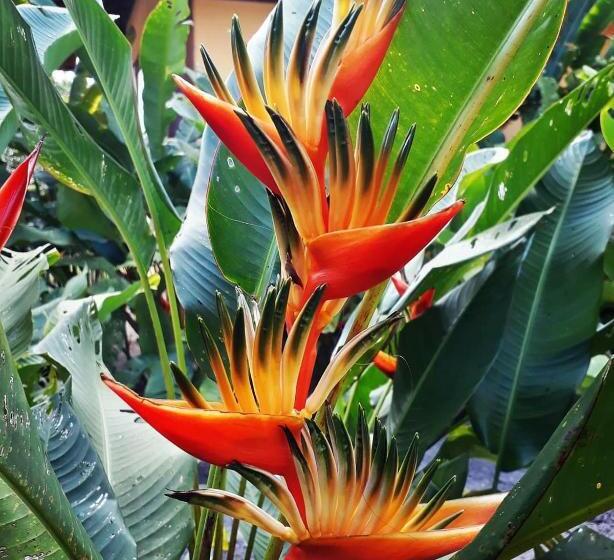 هاستل Casa Valentine Pousada Itacaré